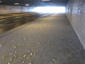 Te veel park